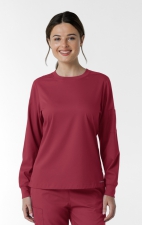 6551 Boundless Crew Neck Long Sleeve Top by WINK