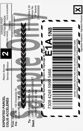Flat Rate Shipping Label $6.50