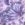 Butterfly French Lavender