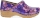 Purple Bloom Patent
