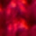 Ruby/Black Speckles