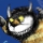 Rumpus Time