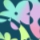 Dizzy Daisy