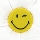 Flower Smiley Puffer